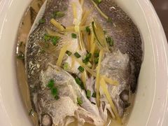 -HOHO餐厅(古子城店)