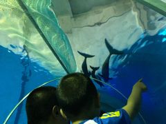 -北戴河圣蓝海洋公园