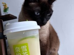 -奈雪的茶(振华商厦店)
