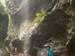 -牛背梁国家森林公园