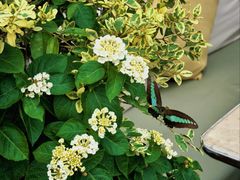 -比斯特上海购物村精品奥特莱斯