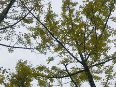 -府河摄影公园