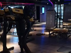 -W FITNESS 威尔仕健身·游泳(老西门新苑店)