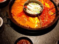 -渝涯重庆豆花老火锅(中赢国际店)