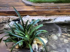 -唐猫庭院·千年陕菜(赛格国际购物中心店)