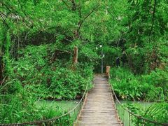 -桤木河湿地公园