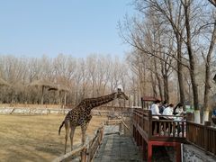 -北京野生动物园