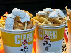 -味子夫鸡柳(解放碑总店)