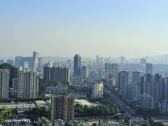 -板樟山森林公园