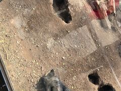 -沈阳森林动物园