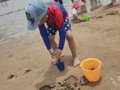 -碧海金沙