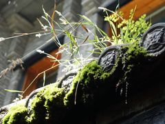 -鱼桥巷·美学川菜