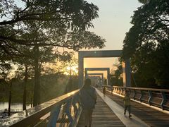 -东莞植物园