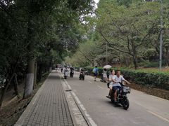 -武汉大学-樱园