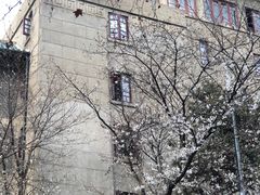 -武汉大学-樱园