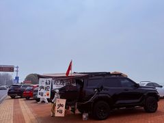 -合肥滨湖国家森林公园