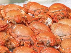 -上海虹桥宾馆味翠餐厅