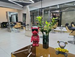 -优加东京秀烫染SALON