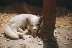 -酷嗒动物文化乐园(cutezoo西溪乐天城店)