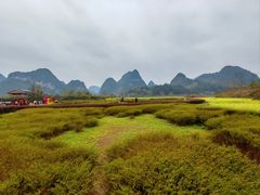 -靖西鹅泉风景区