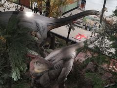 -湖南省地质博物馆