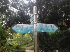 -九龙公园