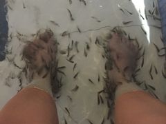 -水晶之星洗浴温泉汗蒸