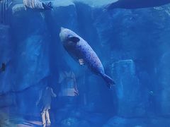-波塞冬海底世界