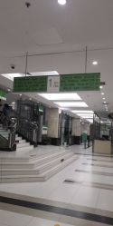 -首都医科大学附属北京儿童医院