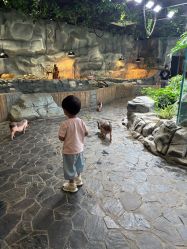 点击看大图 -Zoolung Zoolung动物主题公园(海信广场店)