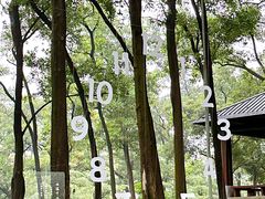 -云溪植物园