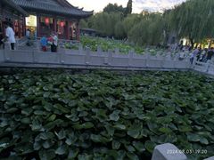 -济南大明湖景区