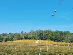 -美的鹭湖探索王国