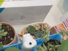-上海仁爱医院