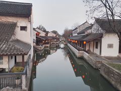 -鲁镇