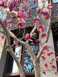 -北京大学第一医院妇产儿童医院