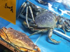 -蓝鲸(国浩路店)