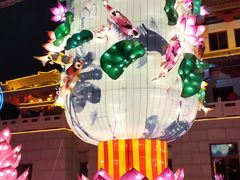 -金城公园