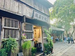 -乌镇西栅景区