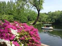 -上海共青森林公园