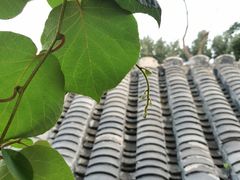 -后海16号·北京私房菜