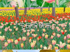 -郑州中国绿化博览园