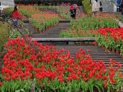 -南山植物园