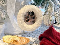 -CENCHI 汵奇咖啡(东四店)