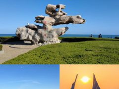 -东夷海鲜巨无霸(东夷小镇店)