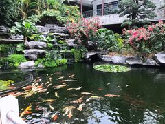 -桃园盛宴·岭南粤菜·手工茶点(南庄店)