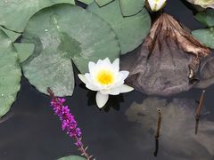 -迎泽公园