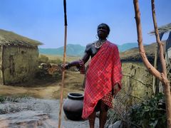 -国家自然博物馆