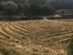 -韶山毛泽东同志故居