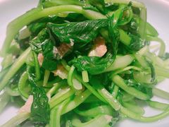 邹山腐皮鸡毛菜-竹外桃花·江南小酒馆(SKP·S店)